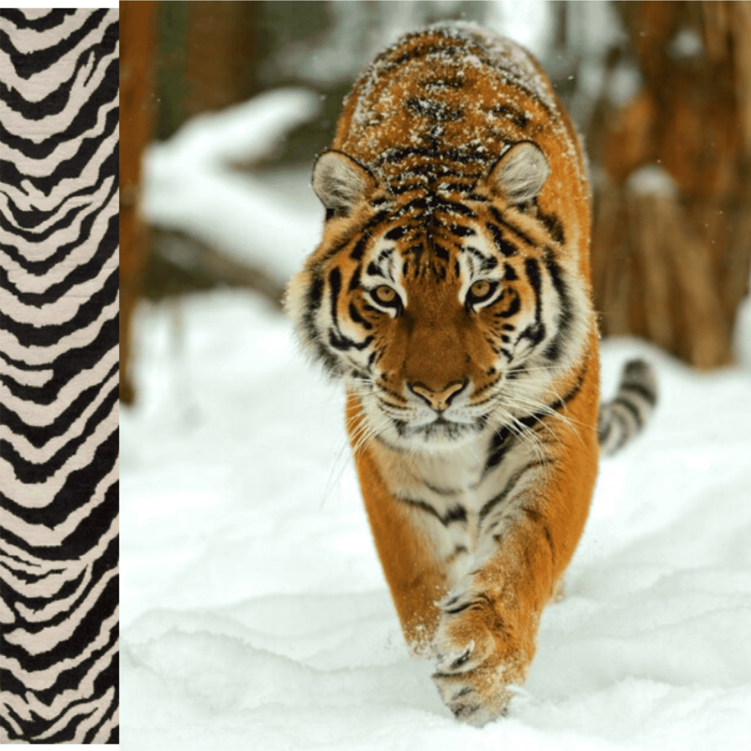 The Beast - 3lb Weighted Jump Rope