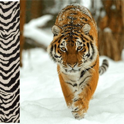 The Beast - 3lb Weighted Jump Rope